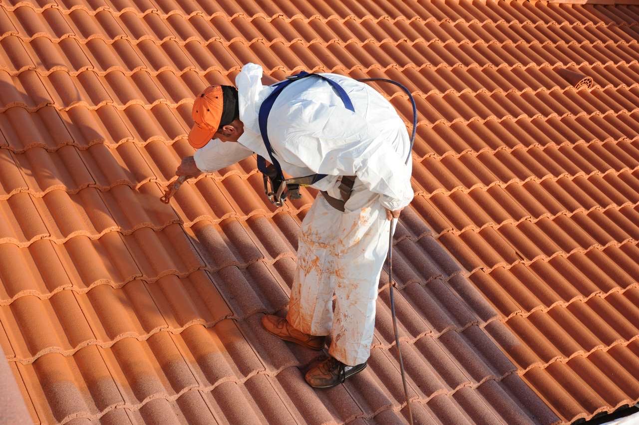 Entretien et démoussage